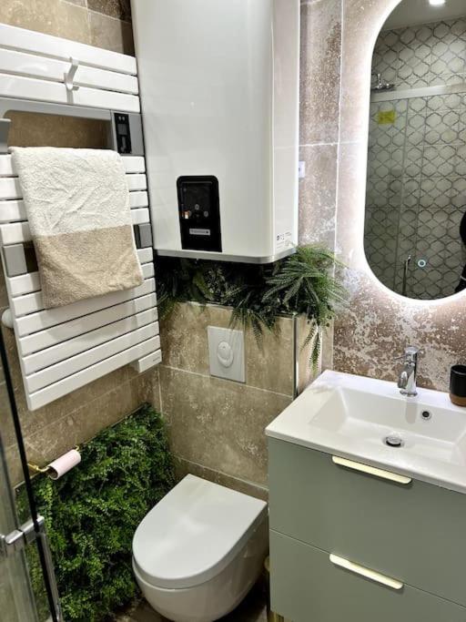 Studio 2 Neuf A 100M Des Plages Et De La Gare Saint-Raphaël Eksteriør bilde